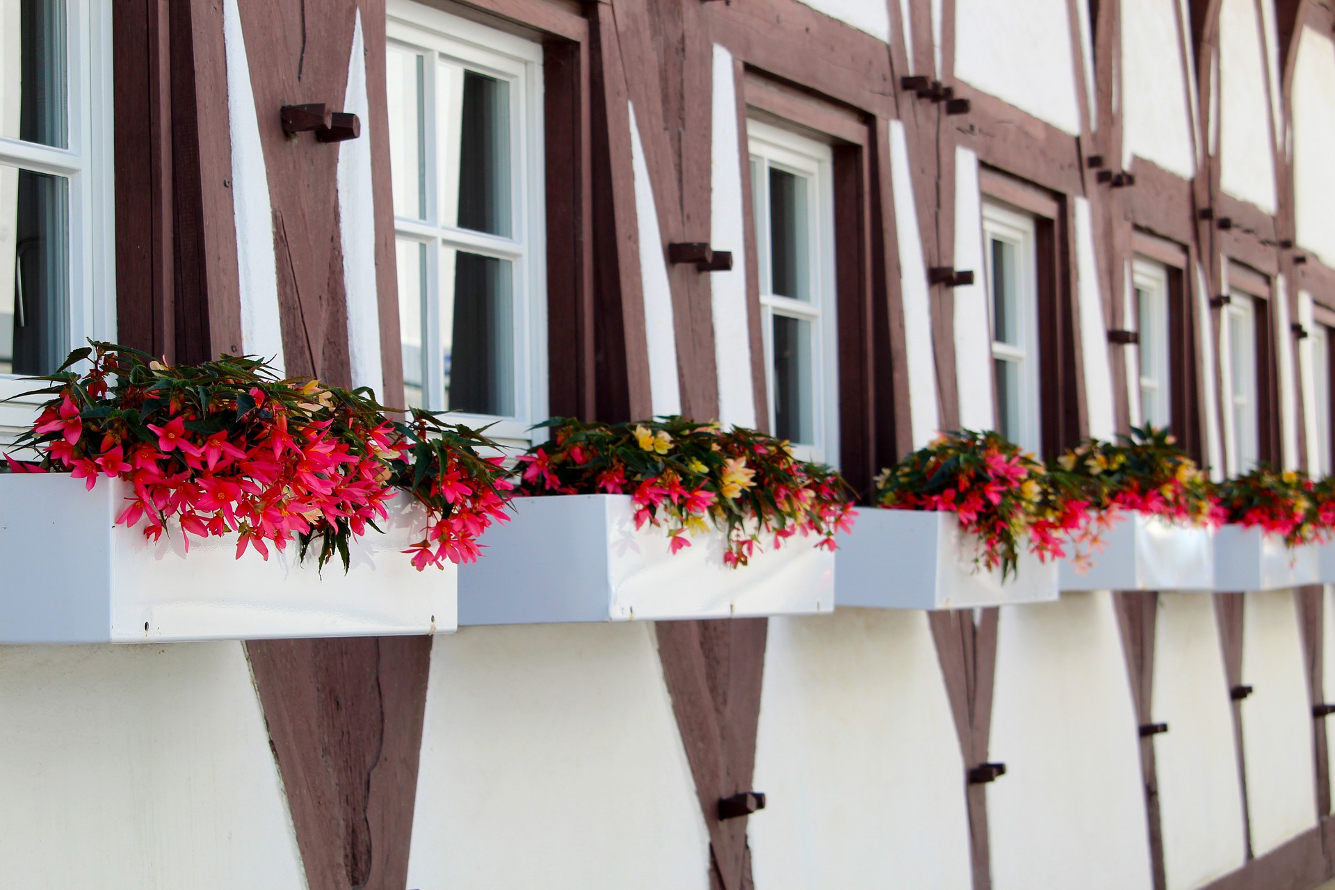 Biberach an der Riss – Die besten Sehenswürdigkeiten in Biberach an der Riss: Ein Reiseführer