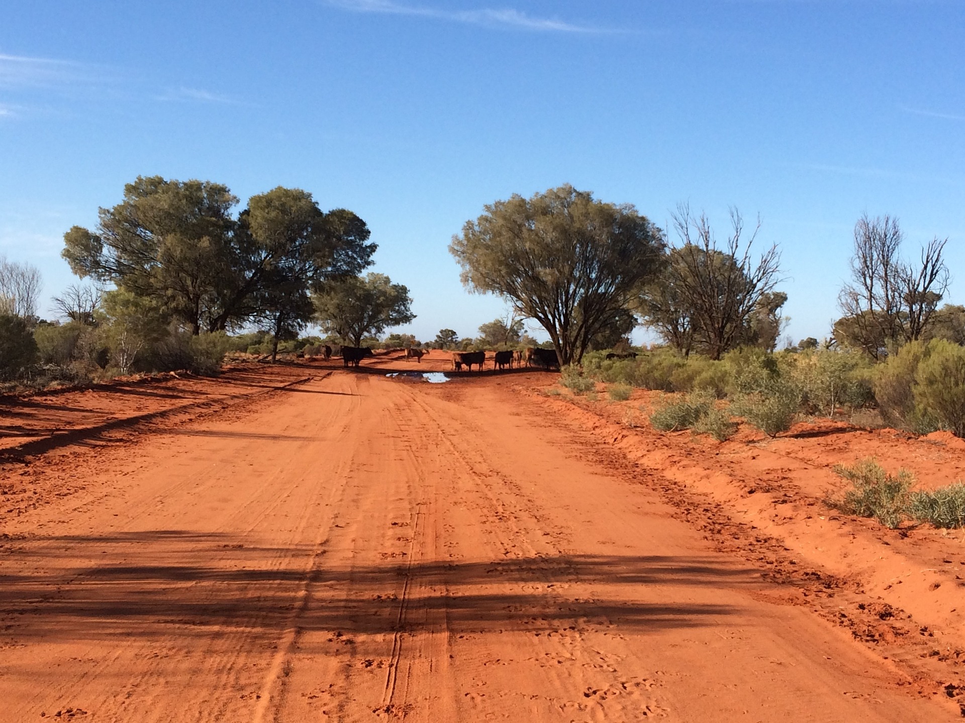 Wie fährt man sicher durch das australische Outback?