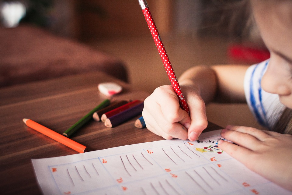 Bildung entdecken: Geheimtipps für unvergessliche Abenteuer und Genüsse