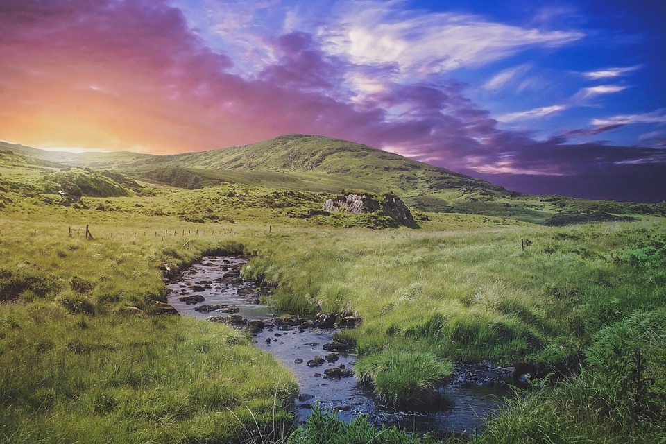 Entdecke Irland: Küsten, Kultur und kulinarische Geheimnisse