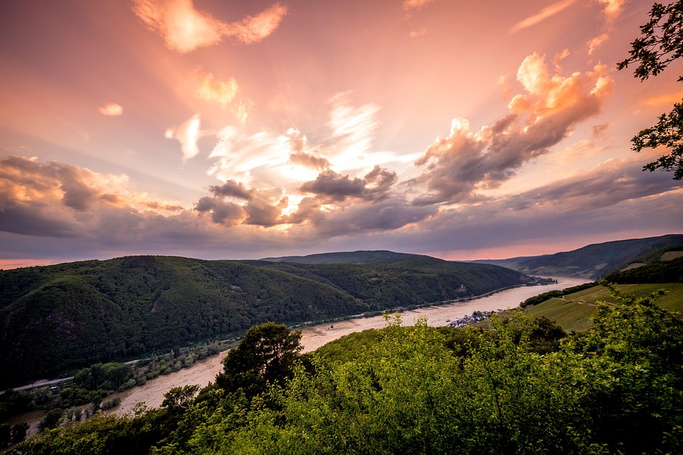 Mainz-Bingen: Wein, Kultur und Natur für unvergessliche Erlebnisse