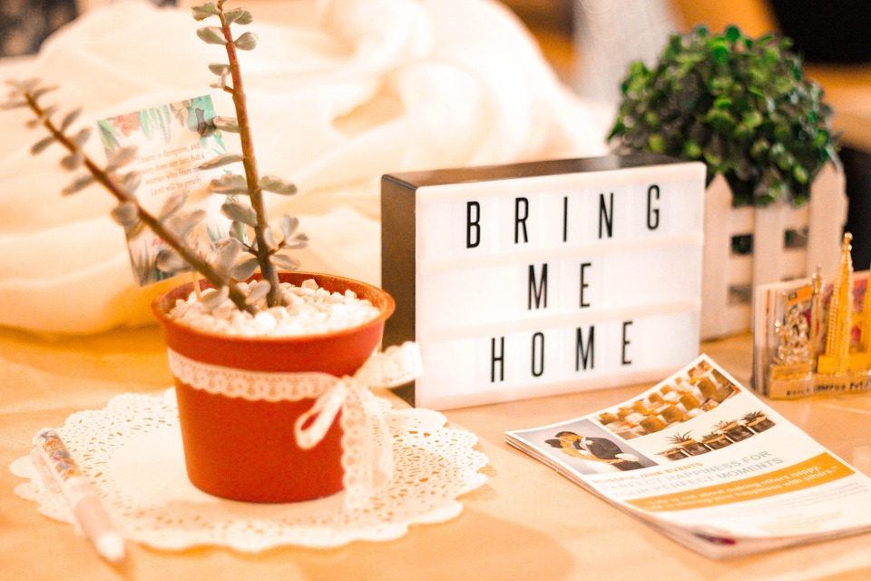 Airbnb plant Expansion: Museum und Massage für Ihre nächste Reise!