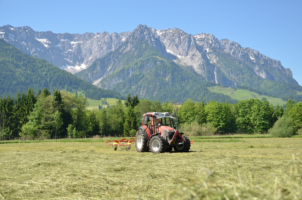 Almsommer 2025 startet mit Fest, Musik und Workshops im SalzburgerLand!