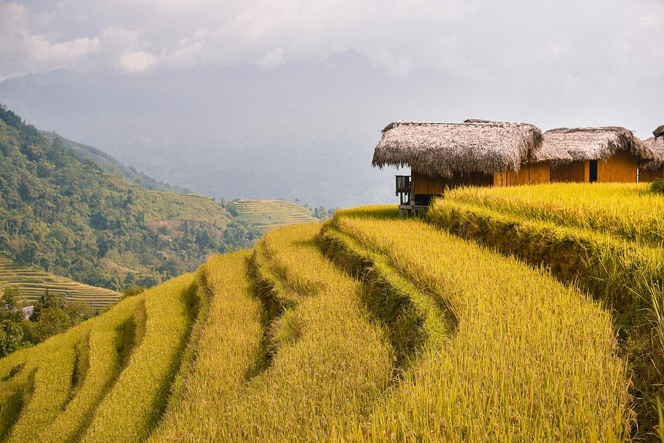 An Giang revolutioniert den Tourismus mit smarter Technologie!