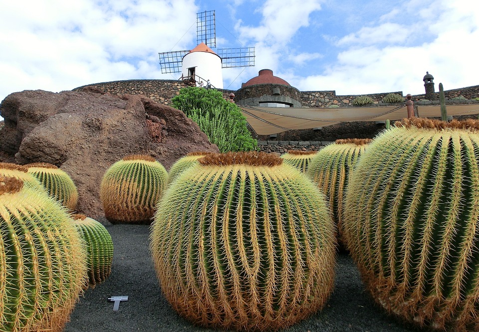 GastroCanarias 2025: Lanzarote glänzt mit kulinarischen Hochgenüssen!