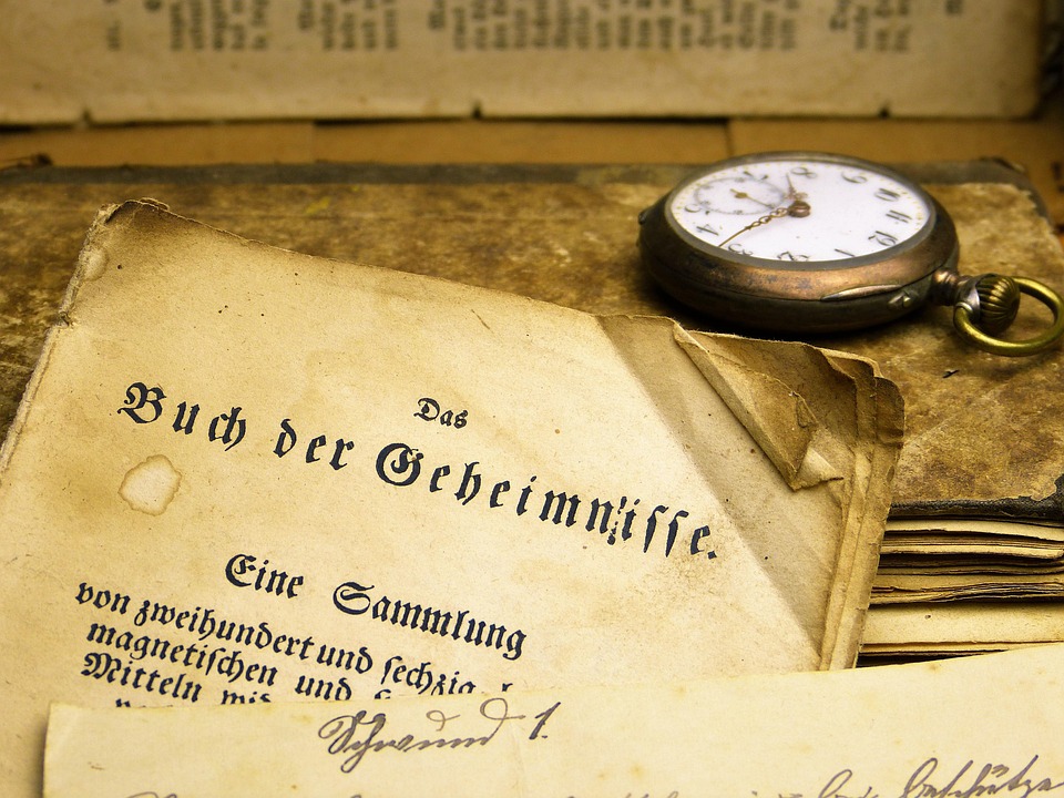 Geheimnisse der Mönchsgrasmücke: Wissenschaftler lüften Vogelzug-Rätsel!
