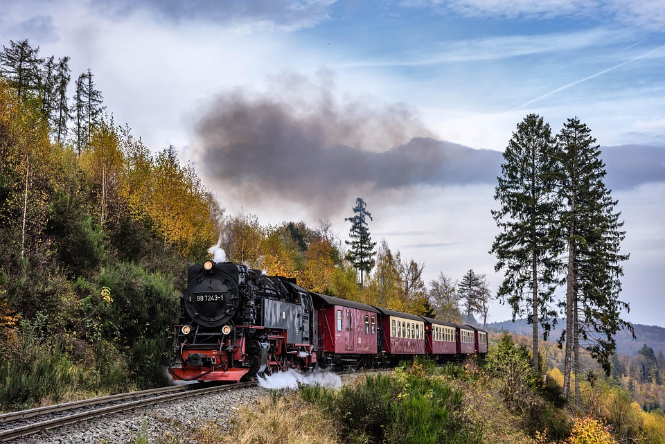 Harz in Gefahr: Übernachtungen sinken, Bäume sterben, Zukunft ungewiss!
