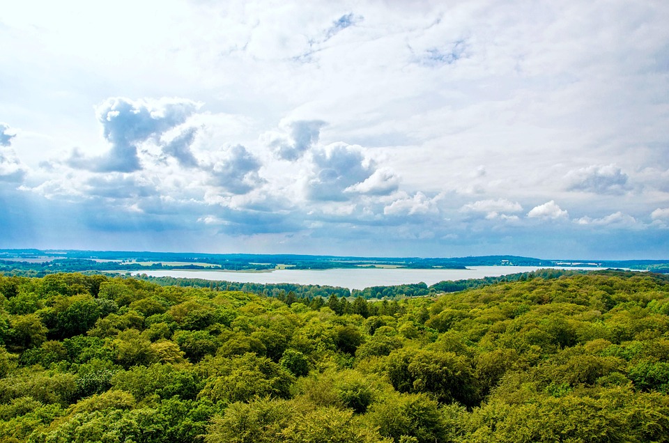 Prora: Vom Traumziel zur Geisterstadt – Was geschah mit der Ostsee-Perle?