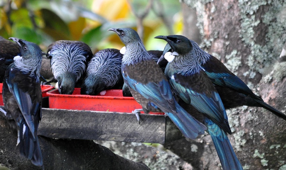 TUI kämpft mit späten Buchungen: Umsatzplus trotz Winterverlust!