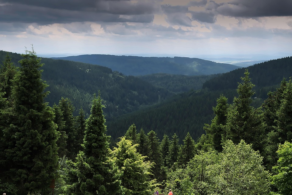 Thüringer Tourismus im Rückgang: Übernachtungen sinken im ersten Quartal!
