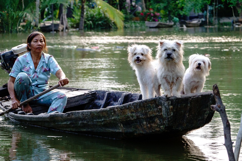 Vietnam im Filmfokus: Touristenansturm dank neuer Blockbuster!