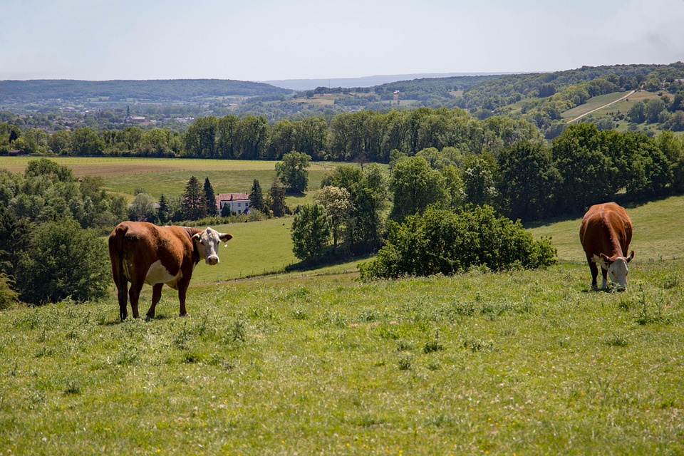 Masern-Ausbruch in Limburg: 31 neue Fälle und Impfdebatte entbrannt!