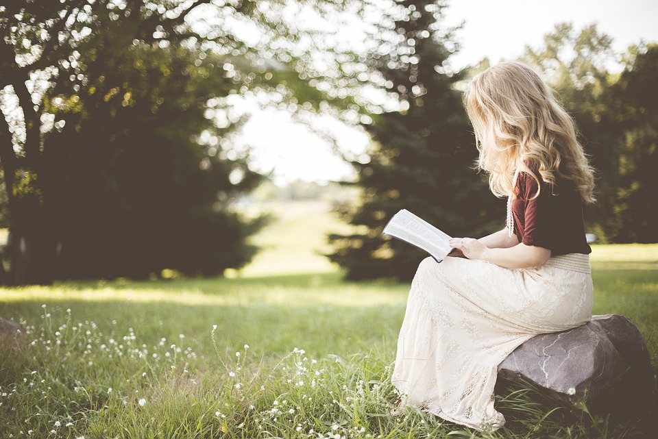 Lesen und Lecker: Entdecke die Stadtbibliothek Lebenstedt!