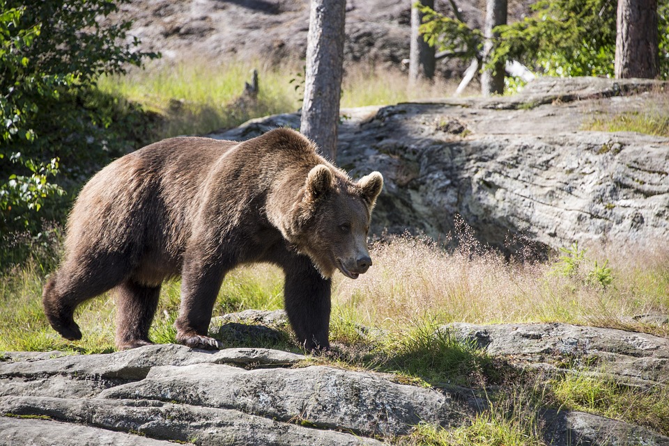 Norwegische Reederei plant längste klimaneutrale Kreuzfahrt der Welt!