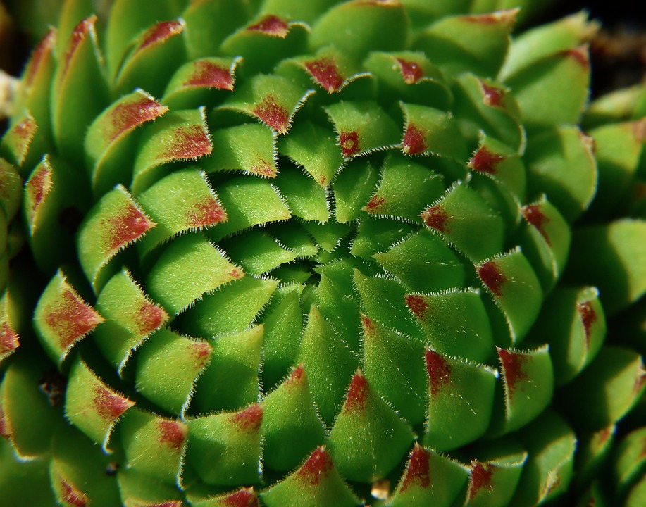 EU plant neue Regeln für Pauschalreisen: Verbraucherschutz im Fokus!