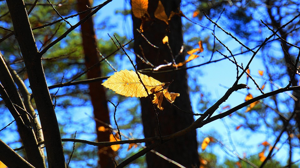Herbstzauber am Ohridsee: Entdecken Sie das UNESCO-Welterbe!