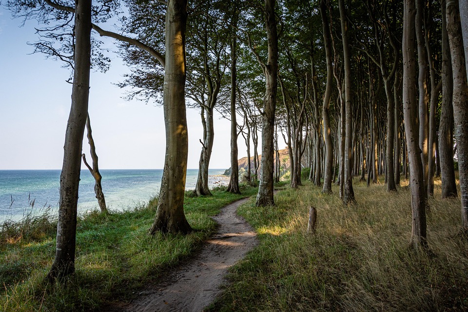 Rügen: Urlaubsparadies für Digitale Nomaden und Familienurlauber!
