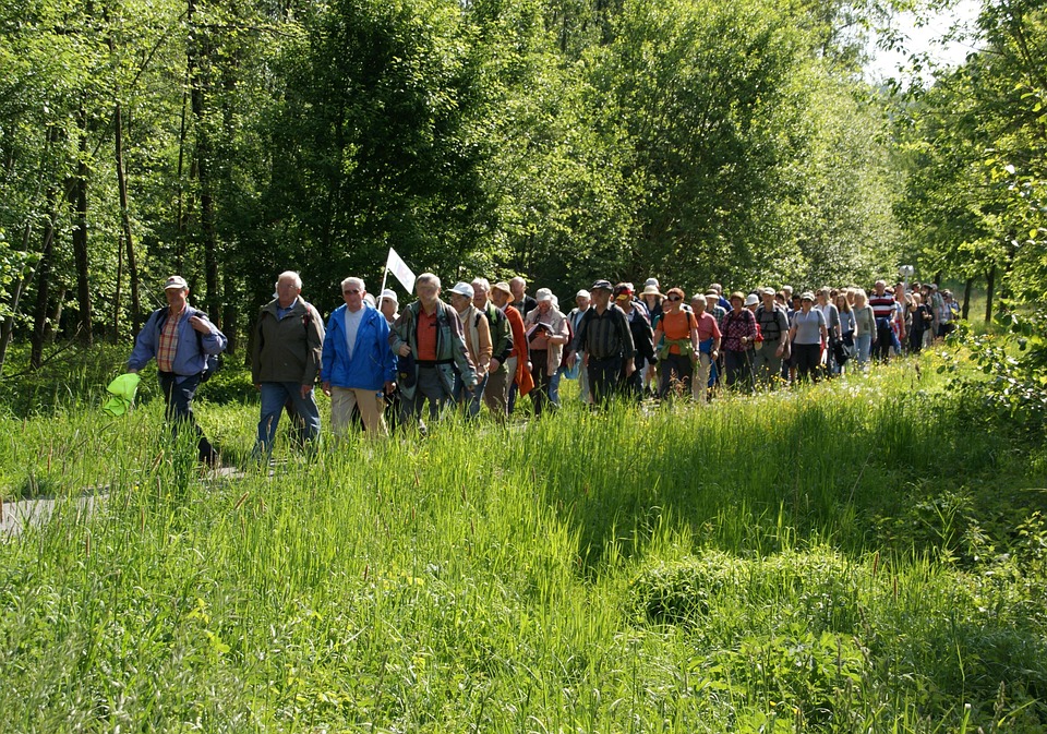 Donnersbergkreis im Aufbruch: Tourismus und Industrie blühen auf!
