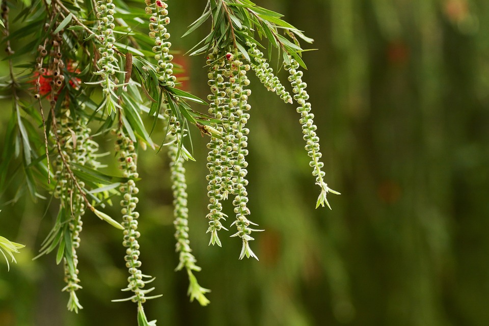 Die Entdeckung der Welt: Felicitas Hoppes Reise vom Stubenhocker zur Schriftstellerin