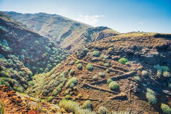 La Palma: Paradies für nachhaltigen Tourismus und unvergessliche Nächte!