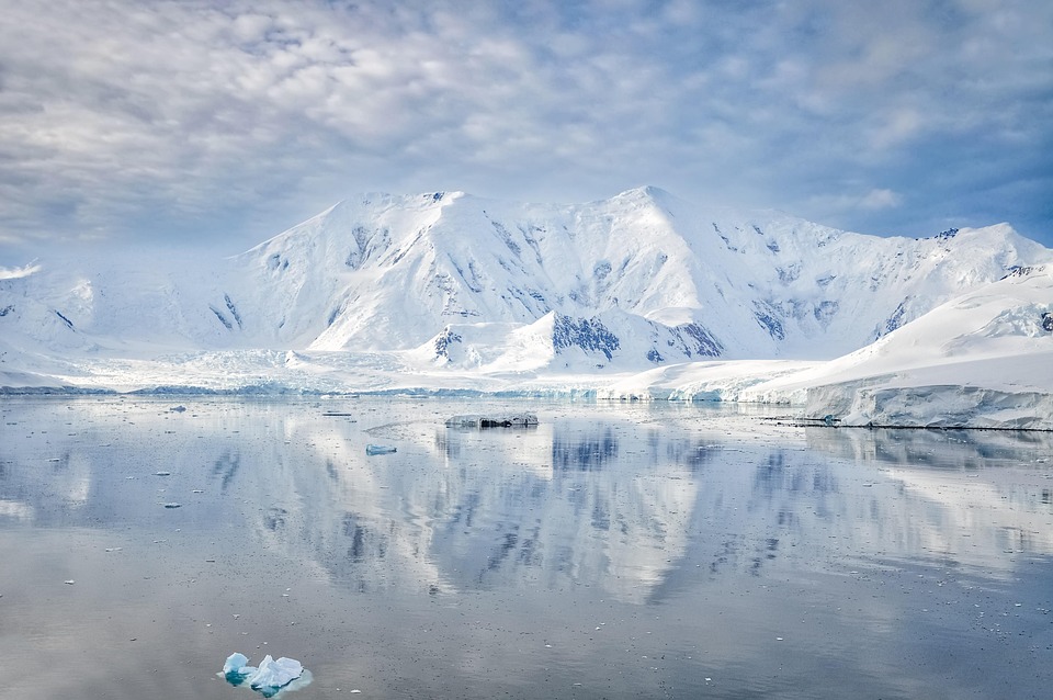 Pinguin-Abenteuer in der Antarktis: Expedition zu den gefiederten Riesen!