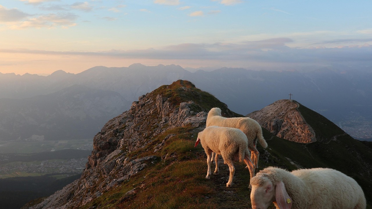 Krüger-Nationalpark vs. private Wildreservate in Südafrika
