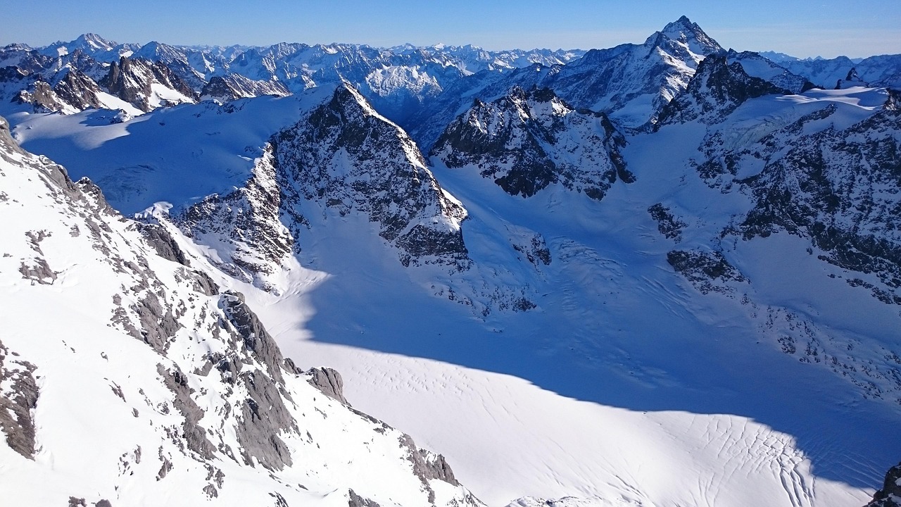 Heimkehr auf Probe: Die Chancen und Risiken syrischer Flüchtlinge in Deutschland