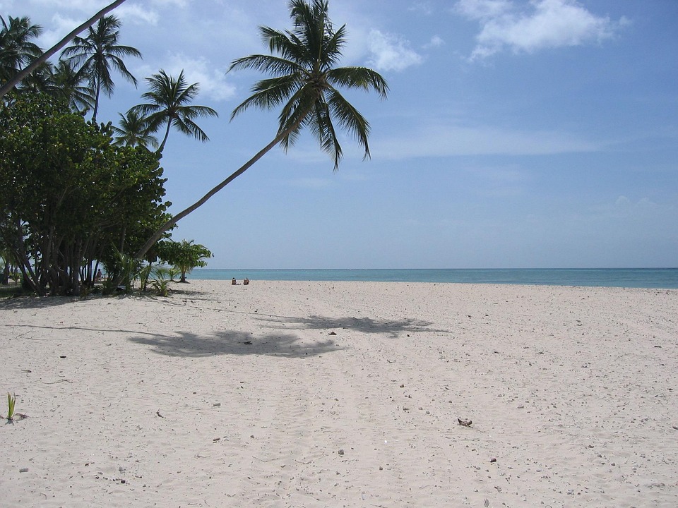 Mit KI zum Traumurlaub: So planen Sie Ihre Reise perfekt!