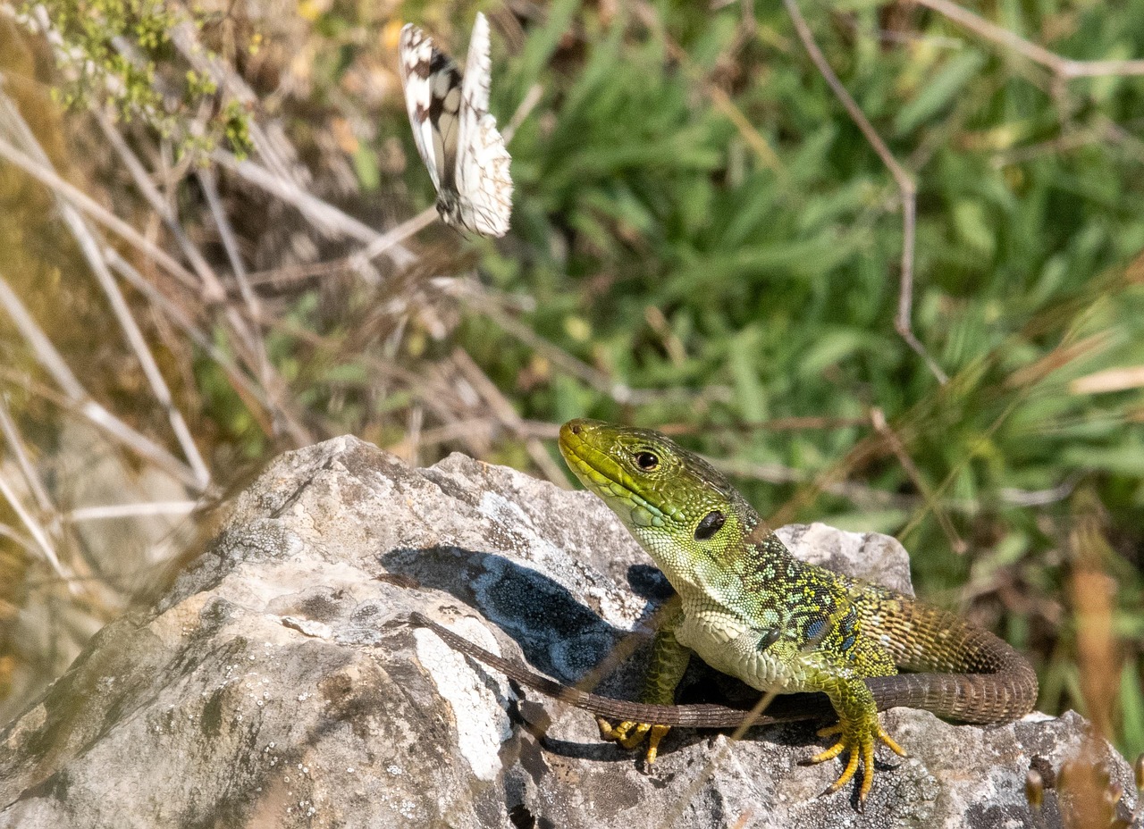 Tagestouren in die Umgebung