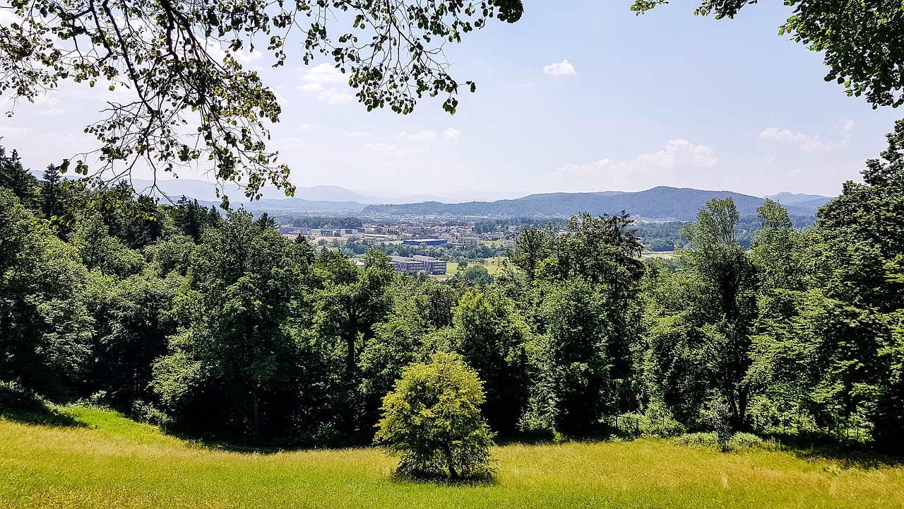 Das Nachtleben