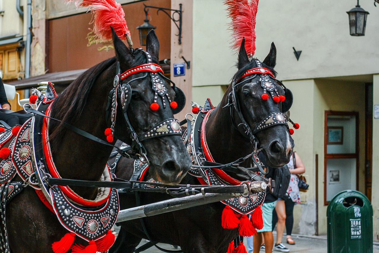 Feste und Veranstaltungen
